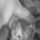 쿨펫동물병원 킨텍스점 이미지