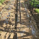 중원농장 이미지