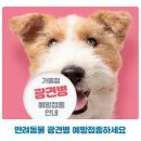 해담동물의료센터 이미지