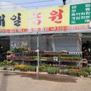 대일농원