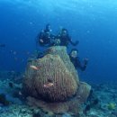 물속풍경 이미지