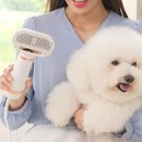 댕댕살롱 이미지