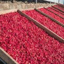 의성농산 이미지