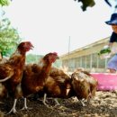 두배로농장 이미지