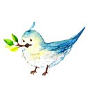 강심내과의원 이미지