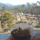 북한산자락길 입구 화장실 | 북한산 카페 파노라마 뷰 베이커리 맛집 후기 주차 꿀팁과 이용 시간 총정리