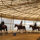 인천남동승마클럽 이미지