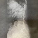 부여장수한의원 이미지