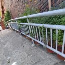 개털깍는 사랑이네 이미지