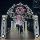 논개골 낭만 벚꽃축제 | 잠실 석촌호수 루미나리에 빛축제 서울야경명소 밤산책 후기