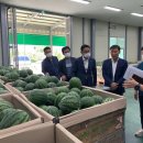 진안군농협조합공동사업법인 이미지