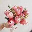 메이블룸(Maybloom) 네이버블로그