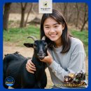 늘푸른건강명가 이미지