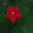 그바다에 가면 이미지