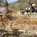 삼척계곡하우스