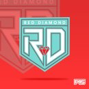 다이아몬드헬스 | 💟 F45 프사오 Red Diamond 레드 다이아몬드 후기! [파트너분들 짱짱쎄..] - 5/13화 #내돈내산 체험기