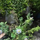 농심가 | 부산 구서동 고기맛집 농심가식육식당 내돈내산 후기