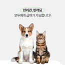 다시마 흑염소 이미지