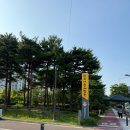 마곡안전체험관 화장실 | 마곡안전체험관 생생 체험 후기_필수 안전 교육