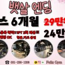 펠리스짐 이미지