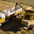 부국농장 이미지