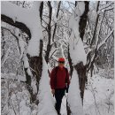 삼산이수 이미지