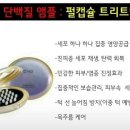 예신화장품 이미지