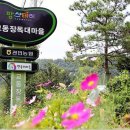 교동장독대마을 이미지