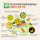 자담농장 이미지