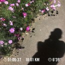 추월농장2 | 🏃나의 첫 마라톤 도전기 (2025 정서진 아라뱃길 마라톤 10km)