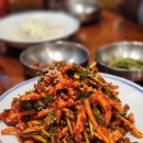 반고개오징어무침회 | 대구 반고개역 맛집 푸른회식당 오징어무침회 납작만두 보쌈 후기