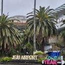 하늘멍가 이미지