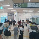 여명국제마라톤(18회) 참가후기 이미지