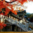 불국사 - 1655 | 불국사