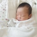 아이미래로 부천지사 | 김포 교체없는 산후도우미 고르는 방법 아이미래로 김포지사 이미향 관리사님 추천