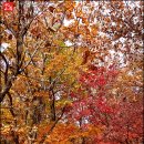 청학동 - 수원시 권선구 탑동로 19 | 청학동