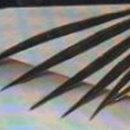 매력 글쓰기 이미지