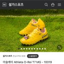 설가스포츠
