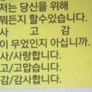 풀빛사랑