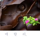 매향리 연합뉴스