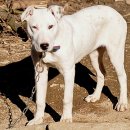 빵순돌이네 이미지