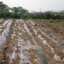 농사꾼농장 이미지