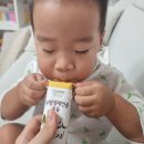 도겸목장 이미지