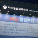 토닥토닥동물병원 | 울산동물병원 리버동물의료센터 울산중구동물병원 고양이 중성화수술 후기