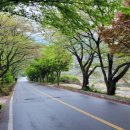 지리산로시난테하우스 이미지