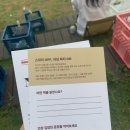 대화도서관 서로배움터 | 2025 부산바다도서관: 스위치OFF! 리딩파티ON! 후기(핸드폰은 잠시 끄고, 대화는 켜고!)