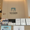 기운내 동물병원 이미지