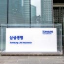 희가 이미지