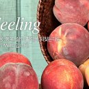 후레쉬팩토리 이미지