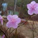 도림산장